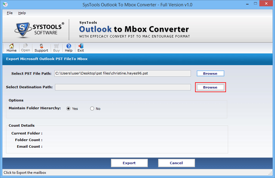 select export option